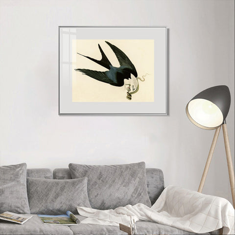 INVIN ART Metal Framed Canvas Giclee Print Swallow-tailed_Hawk by John James Audubon Wall Art Living Room Home Office Decorations