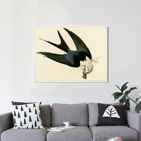 INVIN ART Framed Canvas Giclee Print Swallow-tailed_Hawk by John James Audubon Wall Art Living Room Home Office Decorations