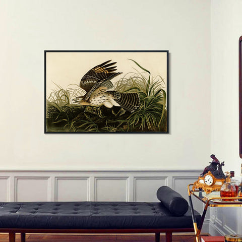INVIN ART Framed Canvas Giclee Print Winter_Hawk by John James Audubon Wall Art Living Room Home Office Decorations