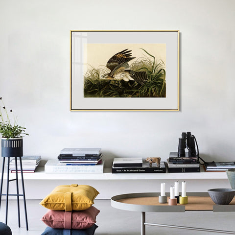 INVIN ART Metal Framed Canvas Giclee Print Winter_Hawk by John James Audubon Wall Art Living Room Home Office Decorations