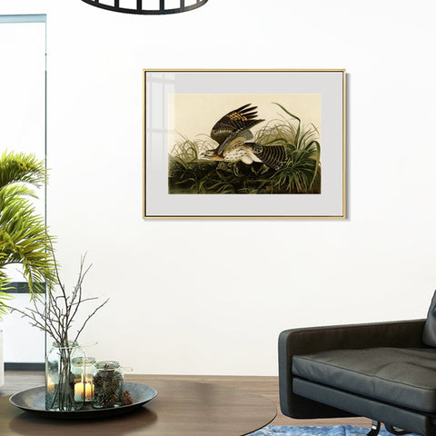 INVIN ART Metal Framed Canvas Giclee Print Winter_Hawk by John James Audubon Wall Art Living Room Home Office Decorations