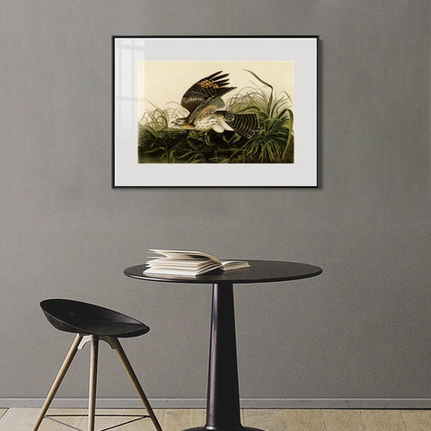 INVIN ART Metal Framed Canvas Giclee Print Winter_Hawk by John James Audubon Wall Art Living Room Home Office Decorations