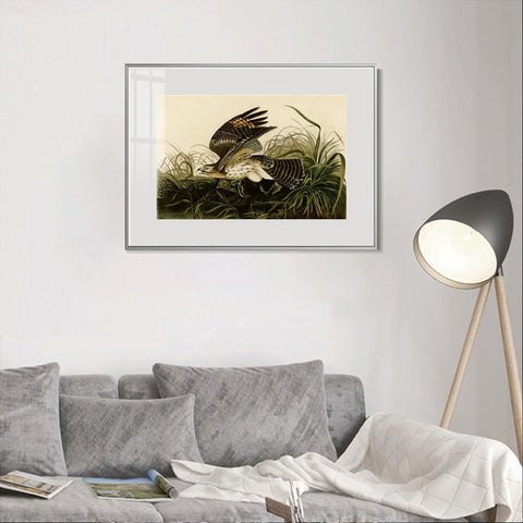 INVIN ART Metal Framed Canvas Giclee Print Winter_Hawk by John James Audubon Wall Art Living Room Home Office Decorations