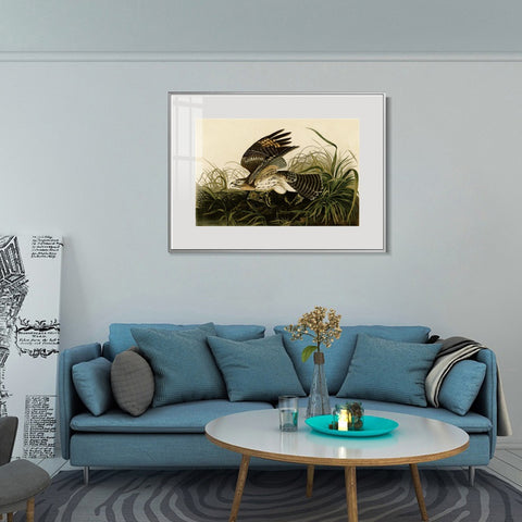 INVIN ART Metal Framed Canvas Giclee Print Winter_Hawk by John James Audubon Wall Art Living Room Home Office Decorations