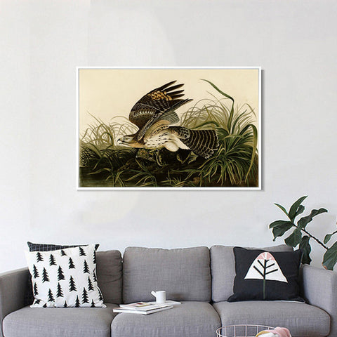 INVIN ART Framed Canvas Giclee Print Winter_Hawk by John James Audubon Wall Art Living Room Home Office Decorations