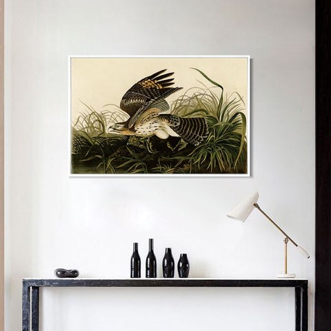 INVIN ART Framed Canvas Giclee Print Winter_Hawk by John James Audubon Wall Art Living Room Home Office Decorations
