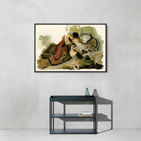 INVIN ART Framed Canvas Giclee Print Ruffed_Grouse by John James Audubon Wall Art Living Room Home Office Decorations