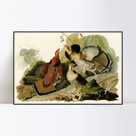 INVIN ART Framed Canvas Giclee Print Ruffed_Grouse by John James Audubon Wall Art Living Room Home Office Decorations