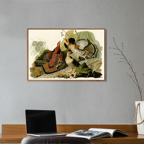 INVIN ART Framed Canvas Giclee Print Ruffed_Grouse by John James Audubon Wall Art Living Room Home Office Decorations