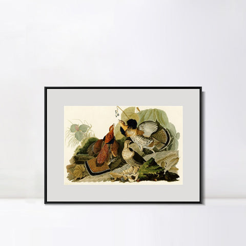 INVIN ART Metal Framed Canvas Giclee Print Ruffed_Grouse by John James Audubon Wall Art Living Room Home Office Decorations
