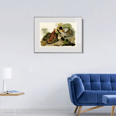 INVIN ART Metal Framed Canvas Giclee Print Ruffed_Grouse by John James Audubon Wall Art Living Room Home Office Decorations