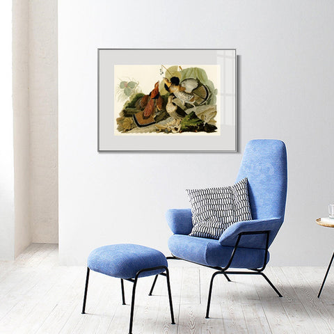 INVIN ART Metal Framed Canvas Giclee Print Ruffed_Grouse by John James Audubon Wall Art Living Room Home Office Decorations