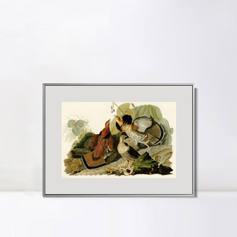 INVIN ART Metal Framed Canvas Giclee Print Ruffed_Grouse by John James Audubon Wall Art Living Room Home Office Decorations