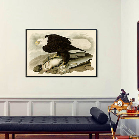 INVIN ART Framed Canvas Giclee Print White-headed_Eagle by John James Audubon Wall Art Living Room Home Office Decorations