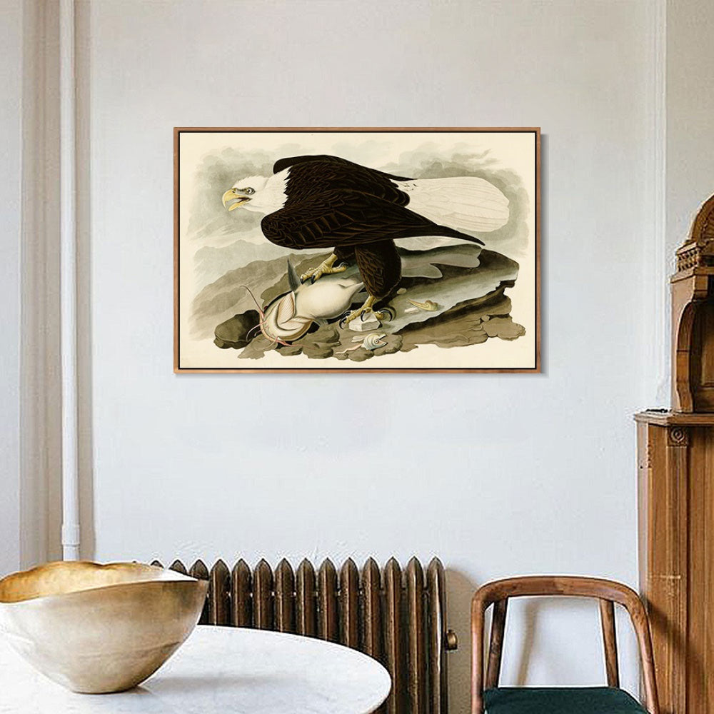 INVIN ART Framed Canvas Giclee Print White-headed_Eagle by John James Audubon Wall Art Living Room Home Office Decorations