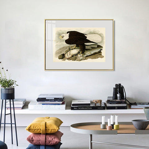 INVIN ART Metal Framed Canvas Giclee Print  Great-footed_Hawk by John James Audubon Wall Art Living Room Home Office Decorations