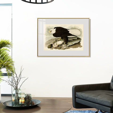 INVIN ART Metal Framed Canvas Giclee Print  Great-footed_Hawk by John James Audubon Wall Art Living Room Home Office Decorations