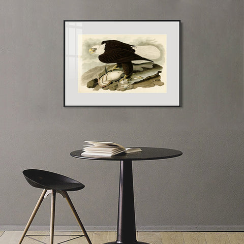 INVIN ART Metal Framed Canvas Giclee Print  Great-footed_Hawk by John James Audubon Wall Art Living Room Home Office Decorations