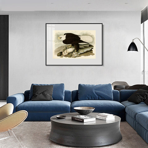 INVIN ART Metal Framed Canvas Giclee Print  Great-footed_Hawk by John James Audubon Wall Art Living Room Home Office Decorations