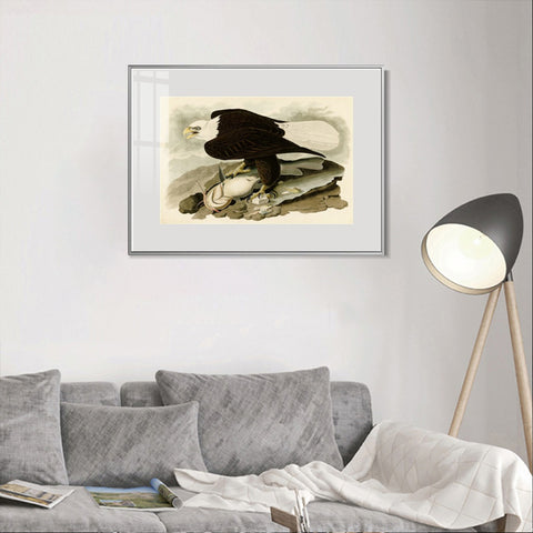 INVIN ART Metal Framed Canvas Giclee Print  Great-footed_Hawk by John James Audubon Wall Art Living Room Home Office Decorations