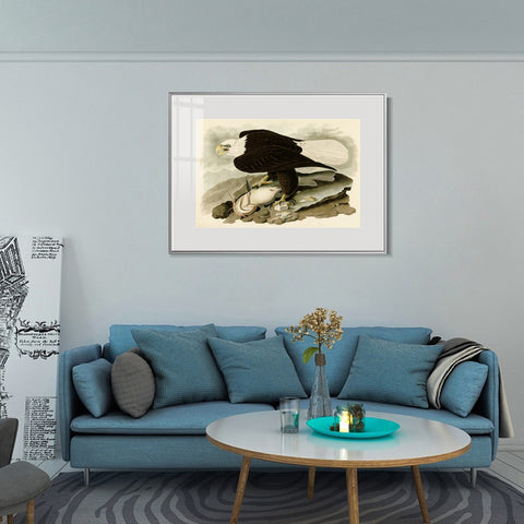 INVIN ART Metal Framed Canvas Giclee Print  Great-footed_Hawk by John James Audubon Wall Art Living Room Home Office Decorations