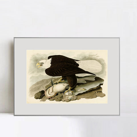 INVIN ART Metal Framed Canvas Giclee Print  Great-footed_Hawk by John James Audubon Wall Art Living Room Home Office Decorations