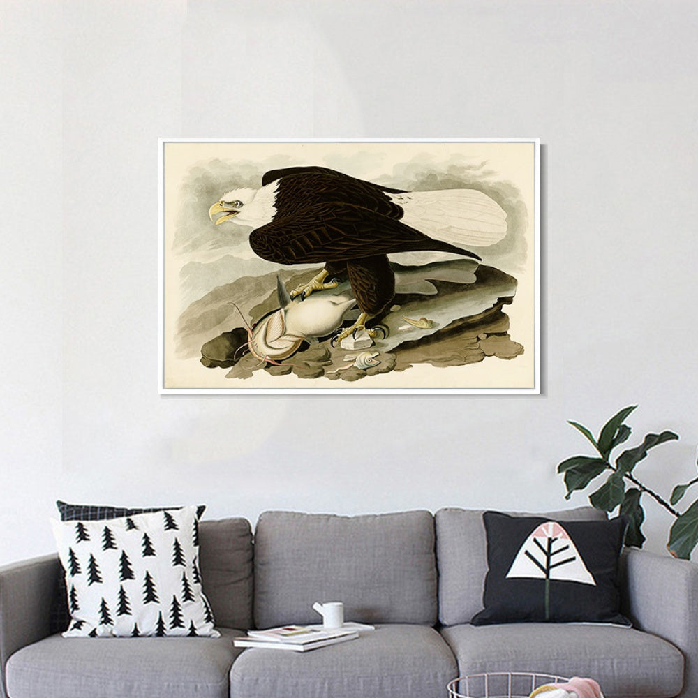 INVIN ART Framed Canvas Giclee Print White-headed_Eagle by John James Audubon Wall Art Living Room Home Office Decorations