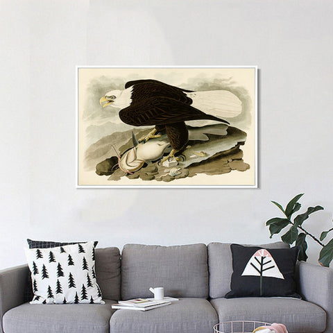 INVIN ART Framed Canvas Giclee Print White-headed_Eagle by John James Audubon Wall Art Living Room Home Office Decorations