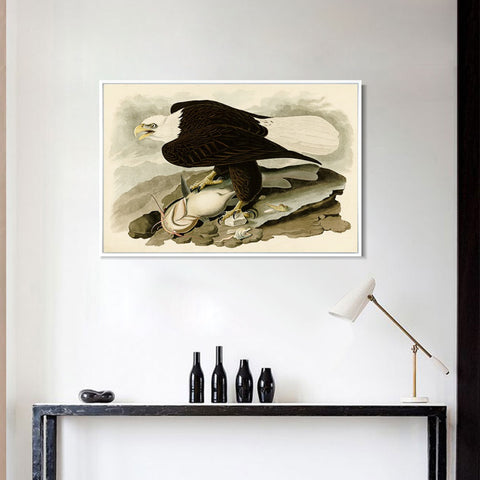 INVIN ART Framed Canvas Giclee Print White-headed_Eagle by John James Audubon Wall Art Living Room Home Office Decorations