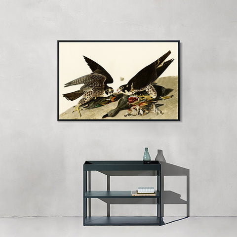 INVIN ART Framed Canvas Giclee Print  Great-footed_Hawk by John James Audubon Wall Art Living Room Home Office Decorations