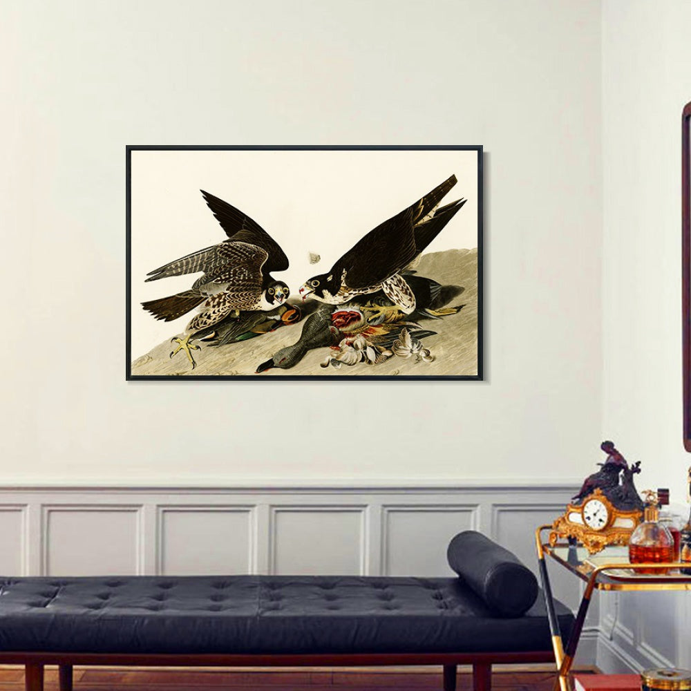 INVIN ART Framed Canvas Giclee Print  Great-footed_Hawk by John James Audubon Wall Art Living Room Home Office Decorations