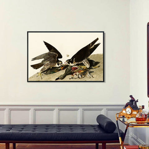 INVIN ART Framed Canvas Giclee Print  Great-footed_Hawk by John James Audubon Wall Art Living Room Home Office Decorations