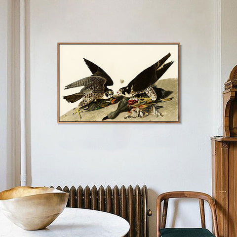 INVIN ART Framed Canvas Giclee Print  Great-footed_Hawk by John James Audubon Wall Art Living Room Home Office Decorations