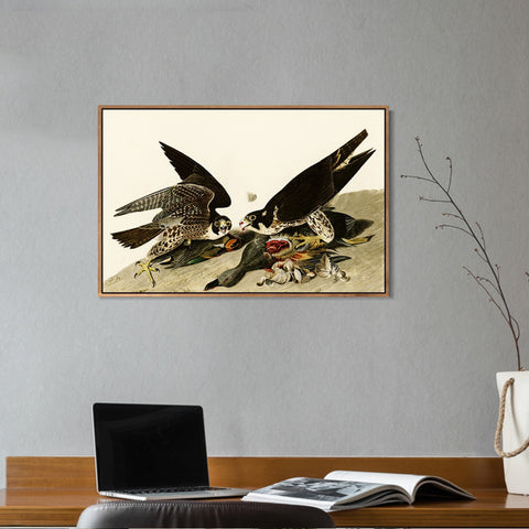 INVIN ART Framed Canvas Giclee Print  Great-footed_Hawk by John James Audubon Wall Art Living Room Home Office Decorations