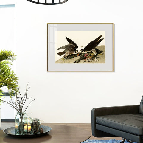 INVIN ART Metal Framed Canvas Giclee Print White-headed_Eagle by John James Audubon Wall Art Living Room Home Office Decorations