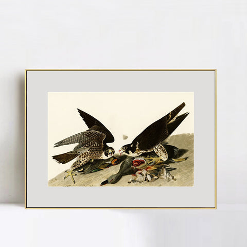 INVIN ART Metal Framed Canvas Giclee Print White-headed_Eagle by John James Audubon Wall Art Living Room Home Office Decorations