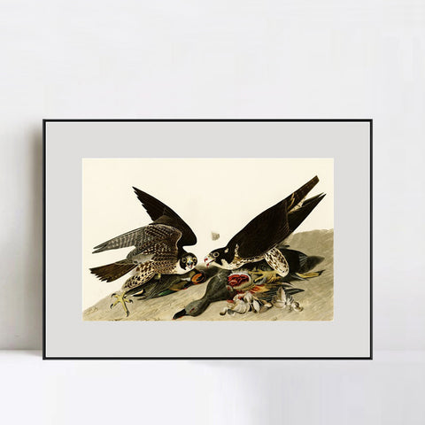 INVIN ART Metal Framed Canvas Giclee Print White-headed_Eagle by John James Audubon Wall Art Living Room Home Office Decorations