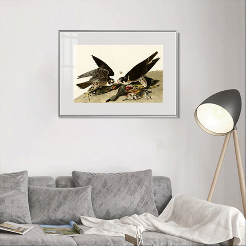 INVIN ART Metal Framed Canvas Giclee Print White-headed_Eagle by John James Audubon Wall Art Living Room Home Office Decorations
