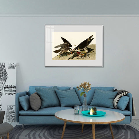 INVIN ART Metal Framed Canvas Giclee Print White-headed_Eagle by John James Audubon Wall Art Living Room Home Office Decorations