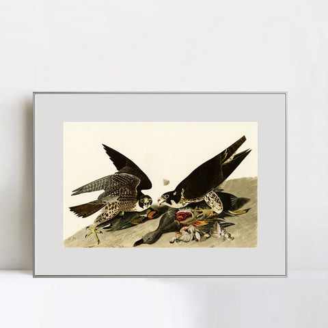 INVIN ART Metal Framed Canvas Giclee Print White-headed_Eagle by John James Audubon Wall Art Living Room Home Office Decorations