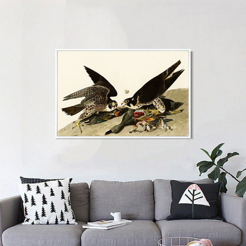 INVIN ART Framed Canvas Giclee Print  Great-footed_Hawk by John James Audubon Wall Art Living Room Home Office Decorations