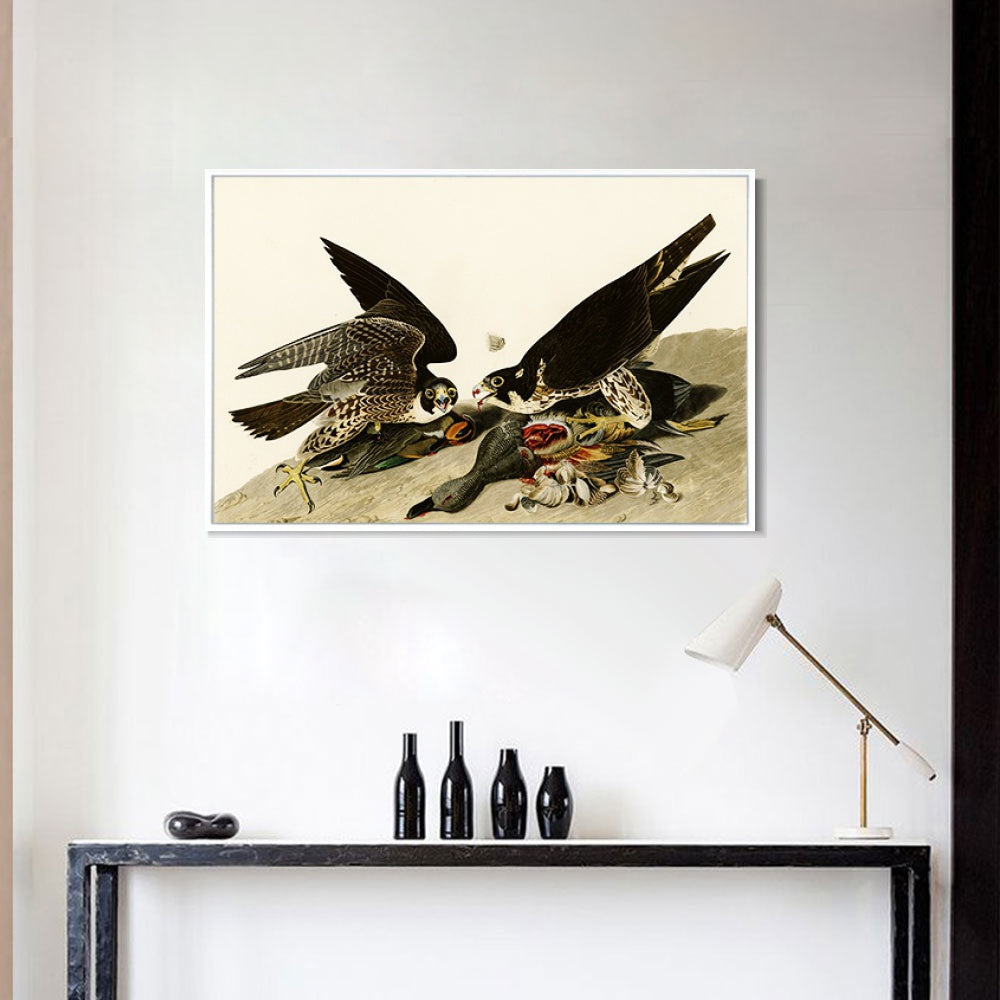 INVIN ART Framed Canvas Giclee Print  Great-footed_Hawk by John James Audubon Wall Art Living Room Home Office Decorations