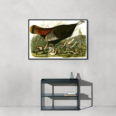 INVIN ART Framed Canvas Giclee Print Wild_Turkey by John James Audubon Wall Art Living Room Home Office Decorations