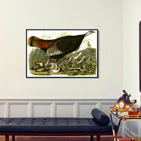 INVIN ART Framed Canvas Giclee Print Wild_Turkey by John James Audubon Wall Art Living Room Home Office Decorations