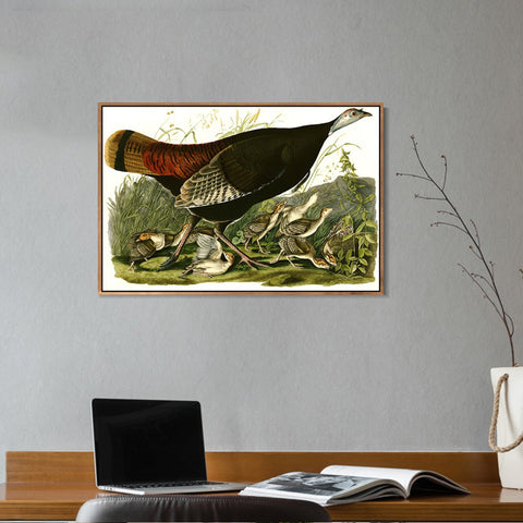 INVIN ART Framed Canvas Giclee Print Wild_Turkey by John James Audubon Wall Art Living Room Home Office Decorations