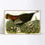 INVIN ART Framed Canvas Giclee Print Wild_Turkey by John James Audubon Wall Art Living Room Home Office Decorations