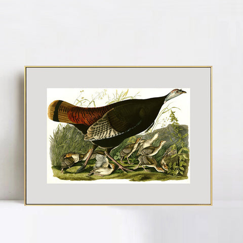 INVIN ART Metal Framed Canvas Giclee Print Wild_Turkey by John James Audubon Wall Art Living Room Home Office Decorations