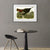 INVIN ART Metal Framed Canvas Giclee Print Wild_Turkey by John James Audubon Wall Art Living Room Home Office Decorations
