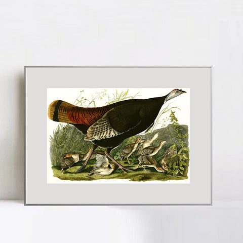 INVIN ART Metal Framed Canvas Giclee Print Wild_Turkey by John James Audubon Wall Art Living Room Home Office Decorations
