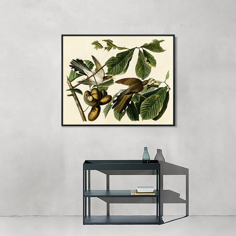 INVIN ART Framed Canvas Giclee Print Yellow-billed_Cuckoo by John James Audubon Wall Art Living Room Home Office Decorations